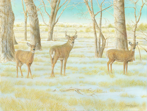 "Cottonwood Grove Whitetails"