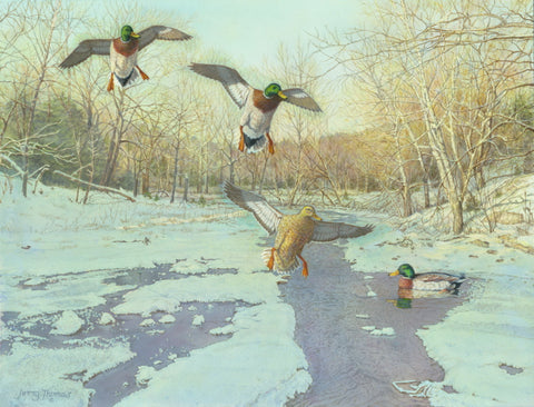 "Snow Creek - Mallards"